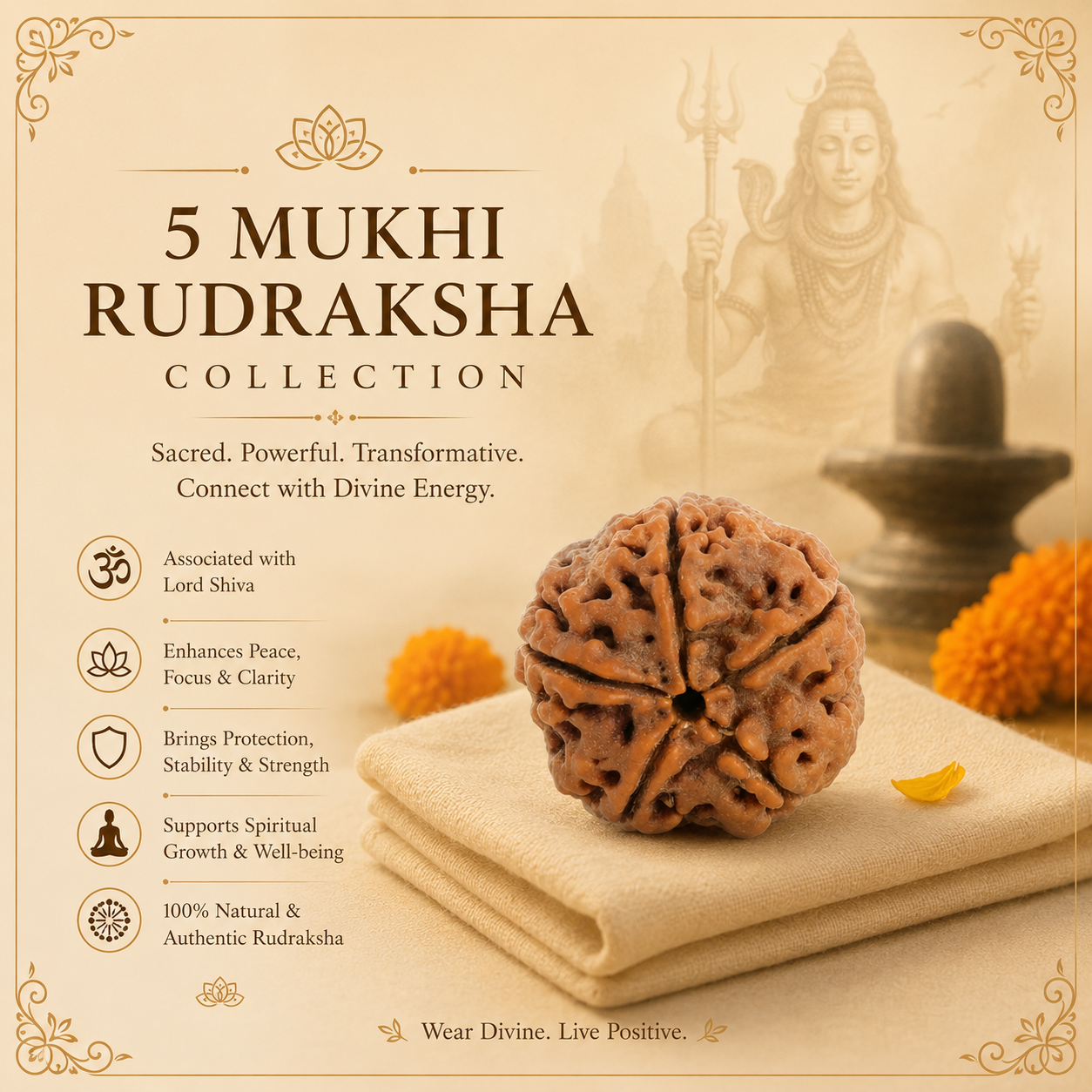 Rudraksha