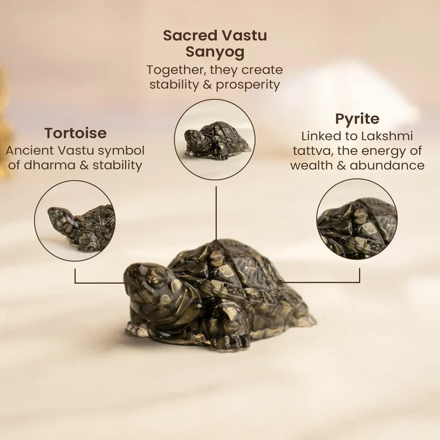 Vastu Pyrite Tortoise