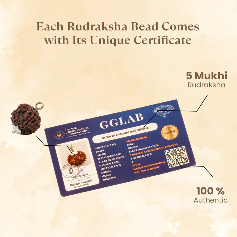 Kashi Siddh Nepal Origin 5 Mukhi Rudraksha - 17mm to 22mm