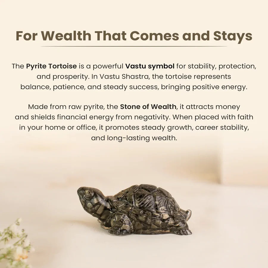 Vastu Pyrite Tortoise
