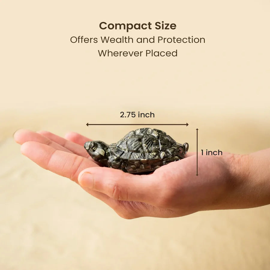 Vastu Pyrite Tortoise