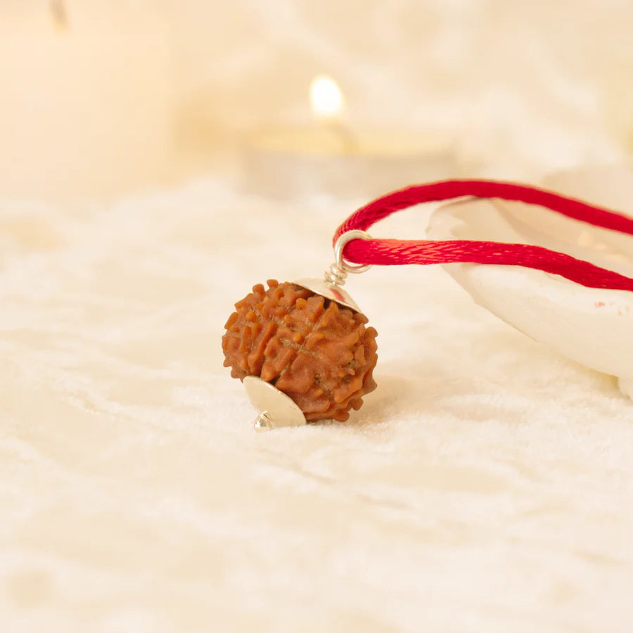 Kashi Siddh Nepal Origin 5 Mukhi Rudraksha - 17mm to 22mm