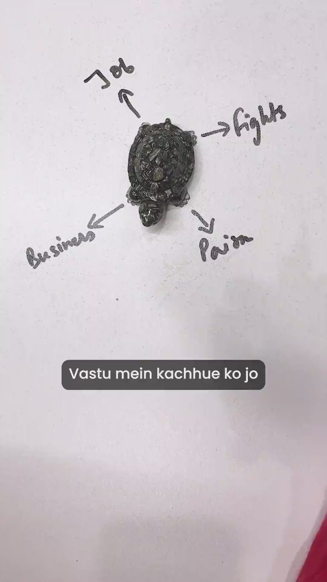Vastu Pyrite Tortoise