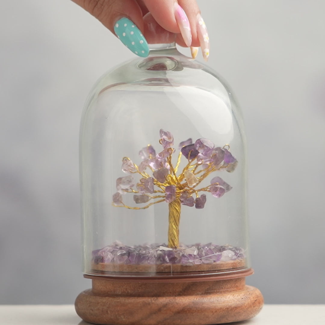Amethyst Dome Tree